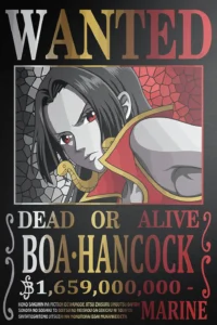 Boa Hancock Wanted Poster One Piece Original Image High Quality Printed Metal Wall Art