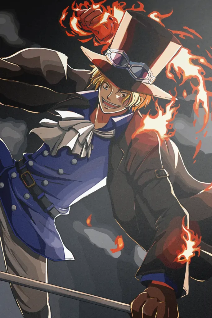 Sabo One Piece Original Image High Quality Printed Metal Poster