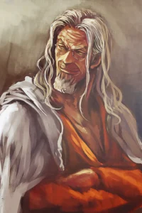 Silvers Rayleigh One Piece Original Image Metal Wall Poster